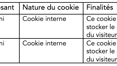 tableau-cookies-usages-techniques